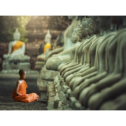 Quadro, stampa su tela. Pangea Images, Giovane monaco buddista in preghiera, Tailandia