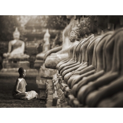 Cuadro en canvas, fotografía. Joven monje budista, Tailandia (sepia)