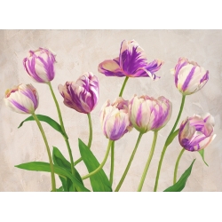Tableau sur toile. Jenny Thomlinson, Tulipes