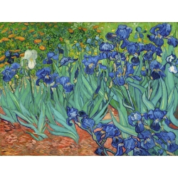 Quadro, stampa su tela. Vincent van Gogh, Iris