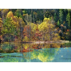 Quadro, stampa su tela. Frank Krahmer, Foresta con i colori dell'autunno, Sichuan, Cina