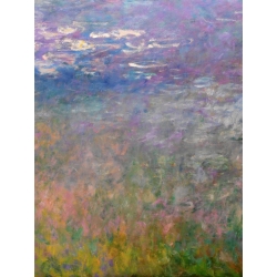 Cuadro en canvas. Claude Monet, Nenúfares II