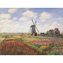 Tableau sur toile. Claude Monet, Champ de coquelicots avec moulin 