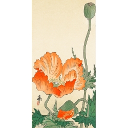 Wall art print on high quality canvas and poster. Koson Ohara, Poppies