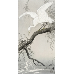 Wall art print on canvas. Koson Ohara, White heron on tree branch