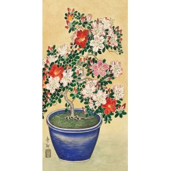 Leinwandbilder Japanische Kunst. Blooming azalea in blue pot