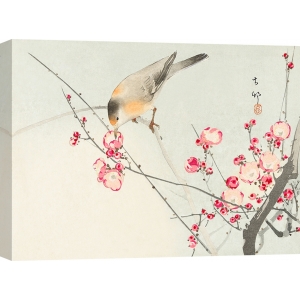 Quadro, stampa su tela. Koson Ohara, Uccellino su un ramo in fiore