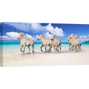 Wall Art Print and Canvas. Horses running on the beach
