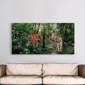 Tableau sur toile. Tigres du Bengale, detail