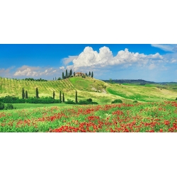 Wall Art Print and Canvas. Farmhouse with Cypresses and Poppies