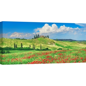 Wall Art Print and Canvas. Farmhouse with Cypresses and Poppies