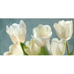 Cuadro con flores en canvas. Tulipanes blancos en fondo azul