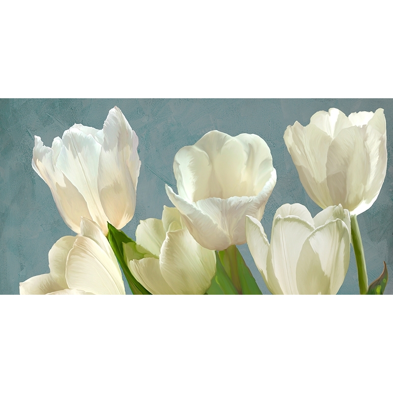 Wall Art Print and Canvas. White Tulips on Blue