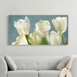 Wall Art Print and Canvas. White Tulips on Blue