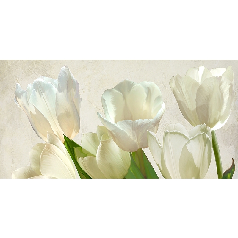 Flower wall Art Print and Canvas. White Tulips (detail)