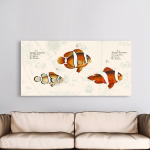 Wall Art Print and Canvas. Tropical Fish I, after Bloch