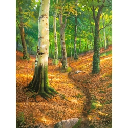 Wall Art Print and Canvas. Deep into the Woods