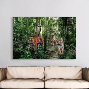 Quadro animali, stampa su tela. Tigri del Bengala