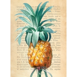 Kitchen Wall Art Print and Canvas. Pineapple (After Redouté)