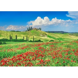 Wall Art Print and Canvas. Farmhouse, Cypresses and Poppies