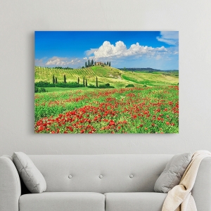 Cuadro de naturaleza en canvas. Casa con cipreses, Toscana