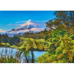 Quadro paesaggio, stampa su tela. Il Taranaki, Nuova Zelanda