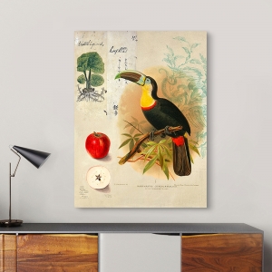 Vintage Wall Art Print and Canvas. Cabinet of Curiosities n 4