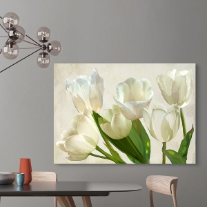 Tableau sur toile. Luca Villa, Tulipes blanches