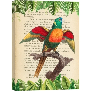 Bilder auf Leinwand. Papagei – The Blue-Headed Parrot