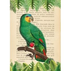 Quadro con animali, stampa su tela. Pappagallo dell'Amazzonia