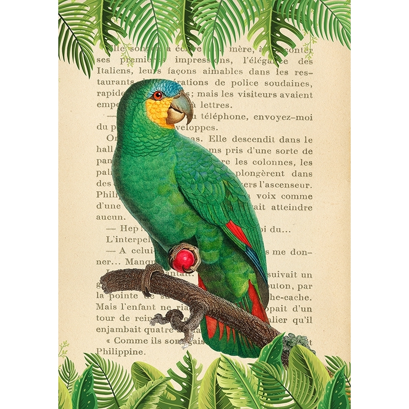 Bilder auf Leinwand. Papagei - The Orange-Winged Amazon Parrott