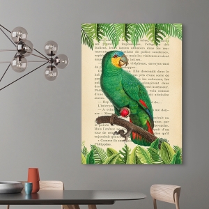 Bilder auf Leinwand. Papagei - The Orange-Winged Amazon Parrott