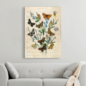 Tableau sur toile. Stef Lamanche, Papillons européens