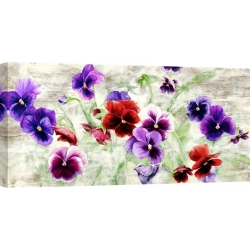 Wall art print and canvas. Jenny Thomlinson, Field of Pansies