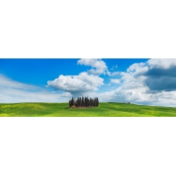 Wall Art Print and Canvas. Cypresses Val d'Orcia, Tuscany Countryside