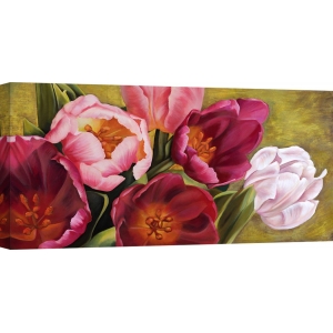 Cuadros de flores en canvas. Jenny Thomlinson, My Tulips