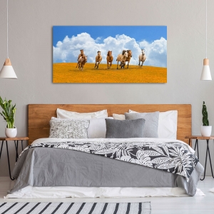 Wall art print and canvas. Pangea Images, Herd of wild horses