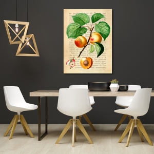 Kitchen Wall Art Print and Canvas. Apricots (After Redouté)