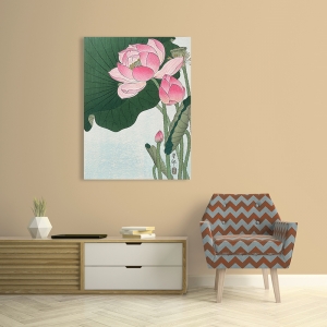 Tableau sur toile. Lotus en fleur