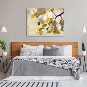 Modern flower wall Art Print and Canvas. Orchid in the sun
