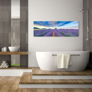 Wall art print and canvas. Krahmer, Lavender Field, France