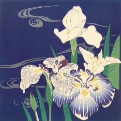 Cuadros japoneses en lienzo. Tsukioka Kogyo, Iris en el agua