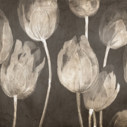 Tableau fleurs sur toile. Luca Villa, Tulipes modernes I