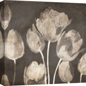 Wall art print, canvas, poster. Luca Villa, Washed Tulips II