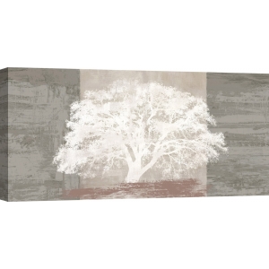 Leinwandbildermit Baum-Motiven und Poster. White Tree Panel