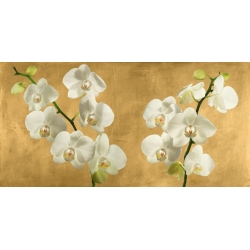 Tableau fleurs modernes. Antinori, Orchidées sur un fond doré