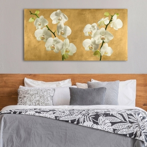 Flower wall art print, canvas. Orchids on a Golden Background