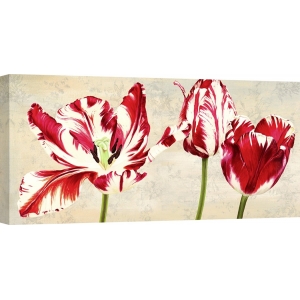 Tableau sur toile. Peinture fleurs. Tulipes Royales