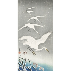 Japanese art print, poster. Ohara Koson, Descending egrets in snow