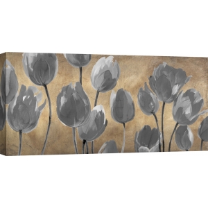 Cuadros flores. Luca Villa, Tulipanes Modernos Grises